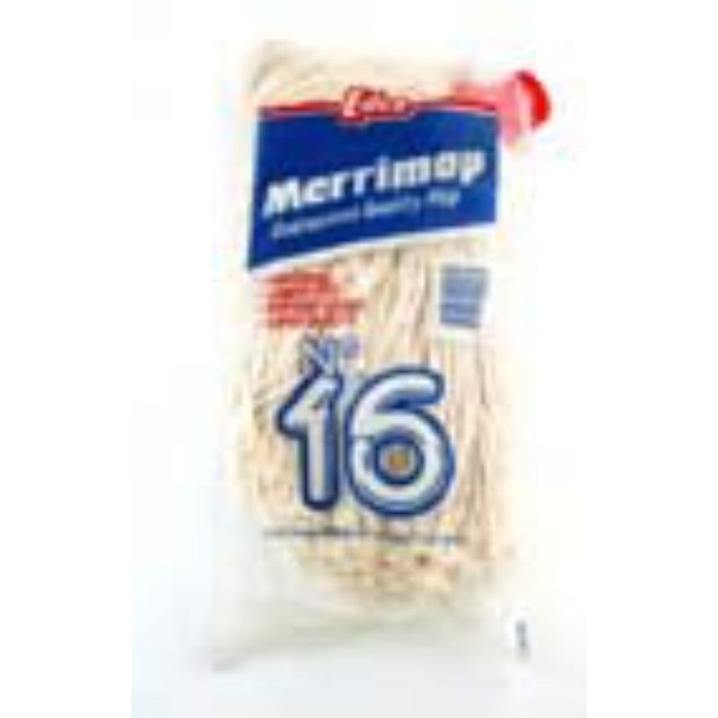 250g Mop with Handle