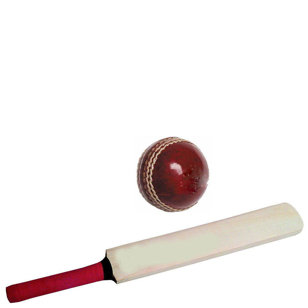 Mini Cricket Bat & Ball