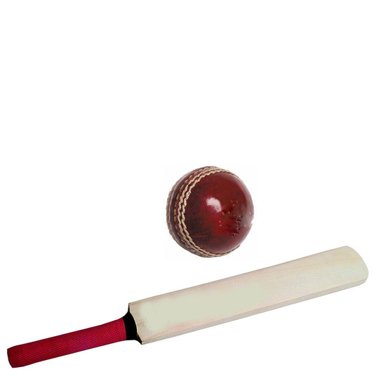 Mini Cricket Bat & Ball