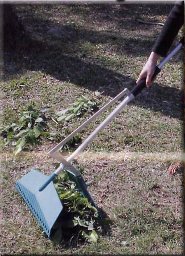2-In-1 Rake with Dustpan