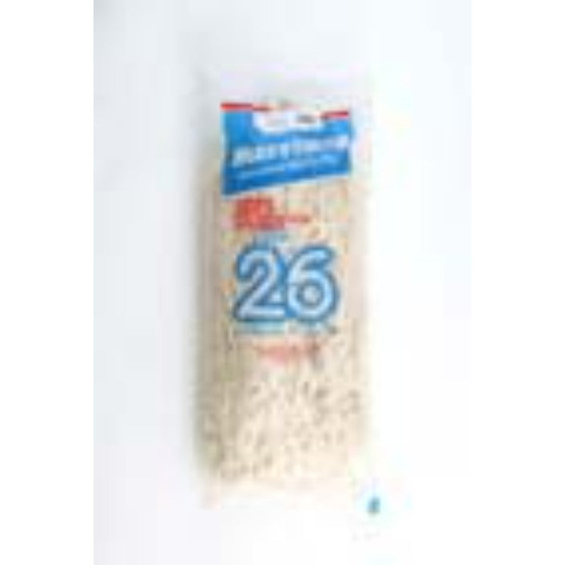 500g Mop with Handle