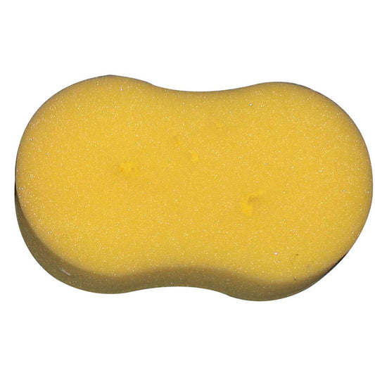 Car Sponge