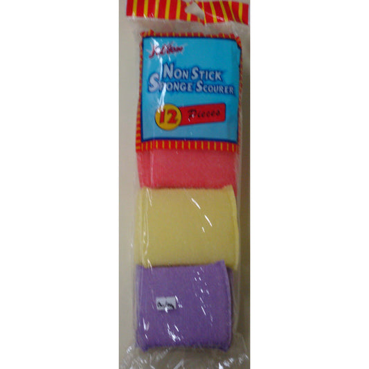 12pc Non Stick Scourers