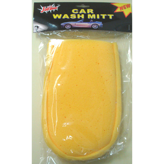 Car Wash Mitt